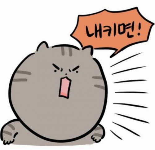 개와 고양이.jpg