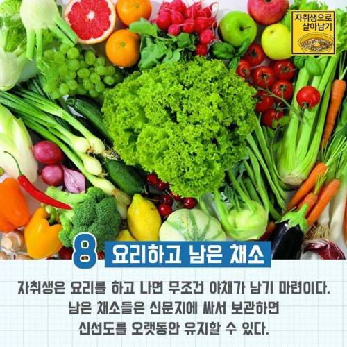 자취생 남은 음식 보관 방법
