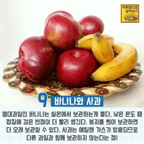 자취생 남은 음식 보관 방법