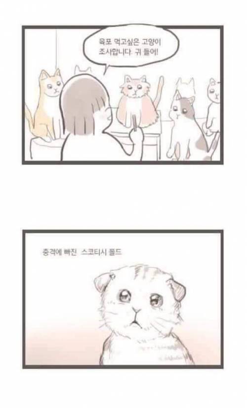 귀들어!!.jpg
