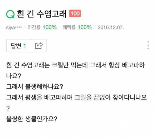 슬픈답변.jpg