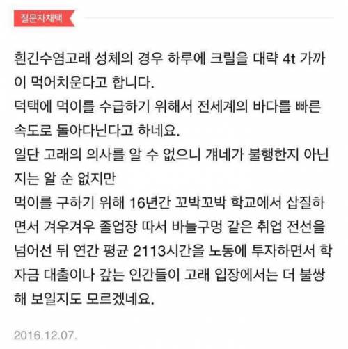 슬픈답변.jpg
