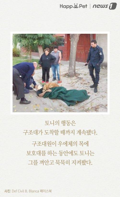 내 주인님 좀 살려주세요