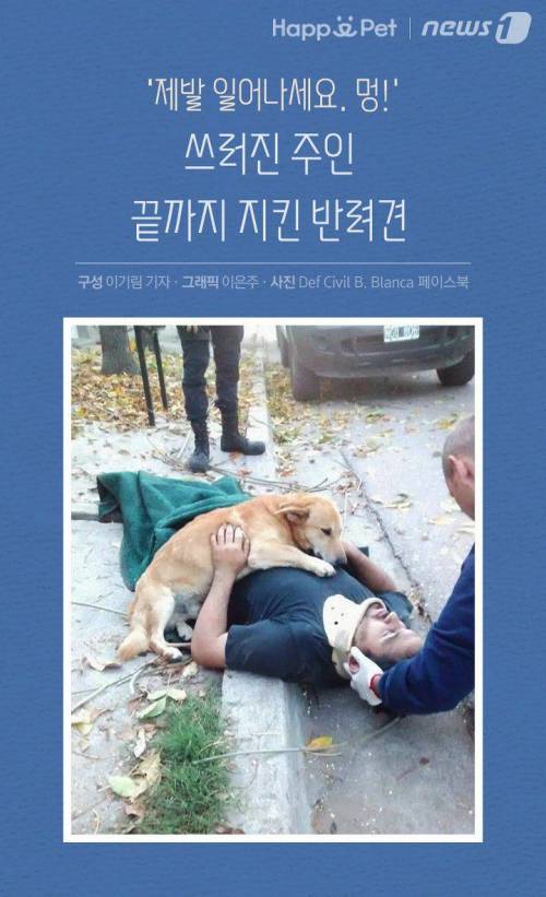 내 주인님 좀 살려주세요
