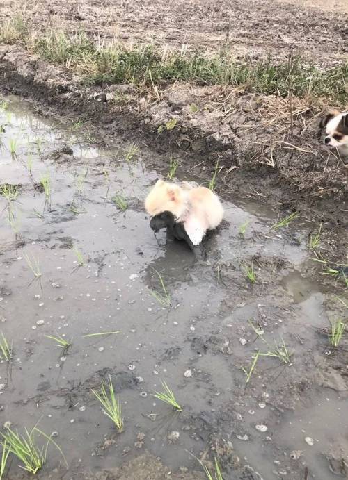 넘어졌는데 무서워짐.jpg