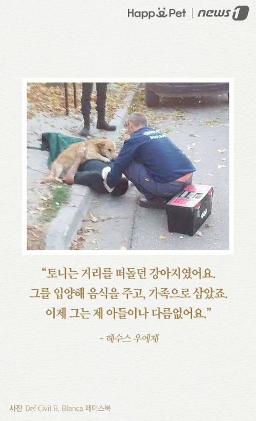 내 주인님 좀 살려주세요