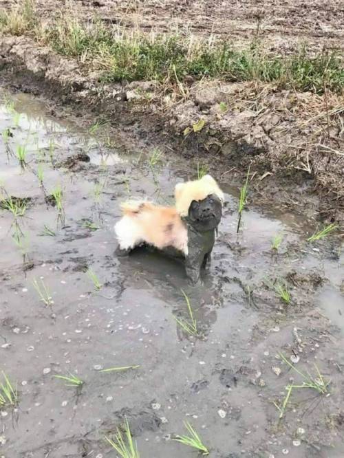 넘어졌는데 무서워짐.jpg