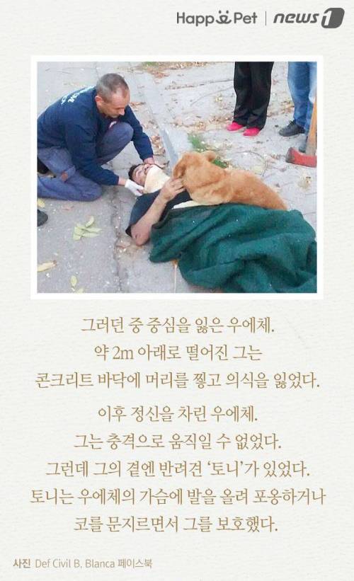 내 주인님 좀 살려주세요