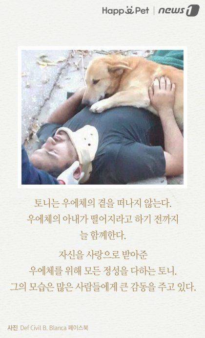 내 주인님 좀 살려주세요