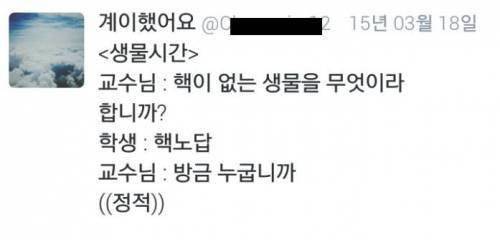 핵이 없는 생물.jpg
