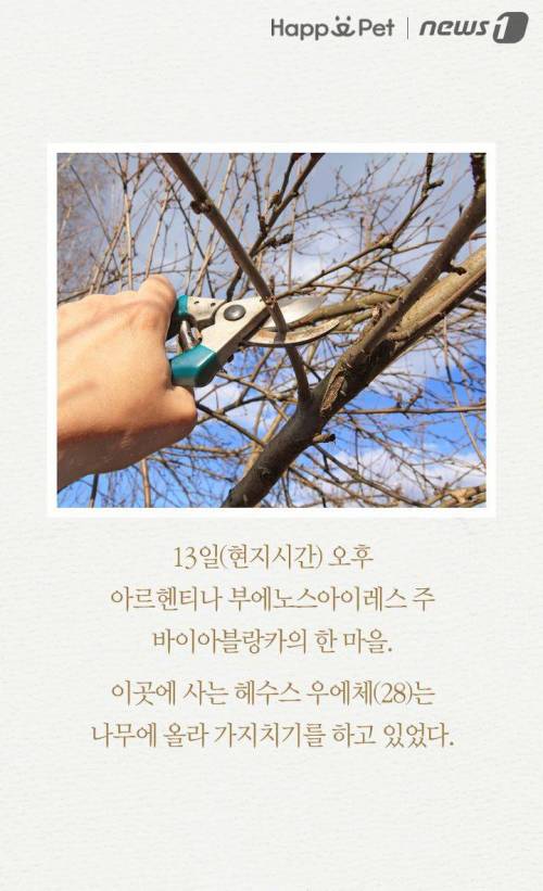 내 주인님 좀 살려주세요