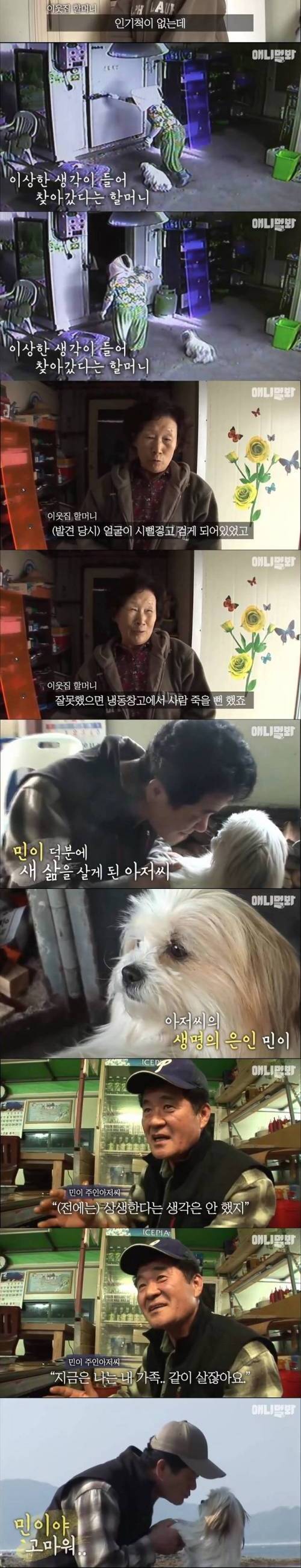 주인을 구한 멍뭉이.jpg
