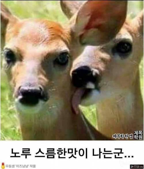 할짝