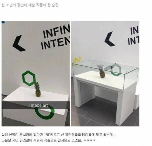 장난 삼아 놔둔 파인애플이 예술작품 된 사연