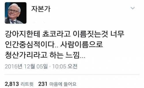 멍뭉이 이름을 쵸코라 짓는건..jpg