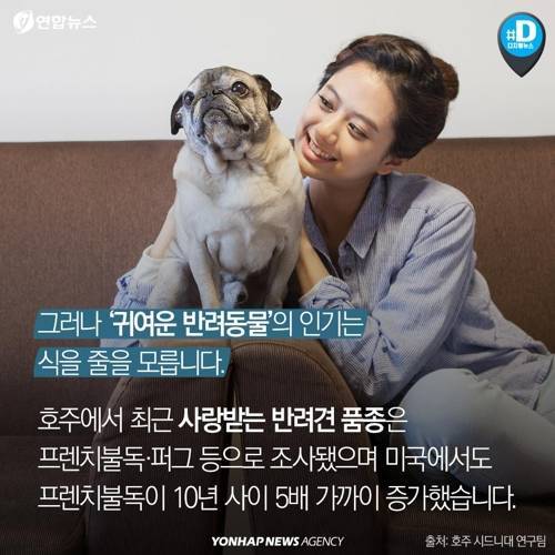 아픈 동물들..jpg