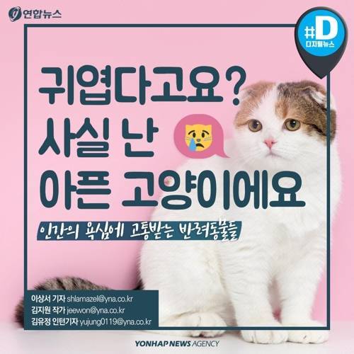 아픈 동물들..jpg