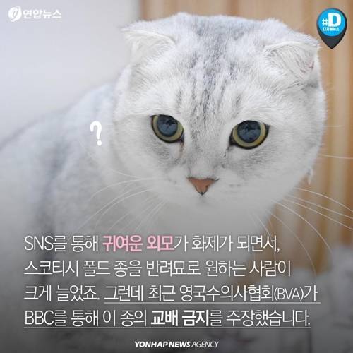 아픈 동물들..jpg