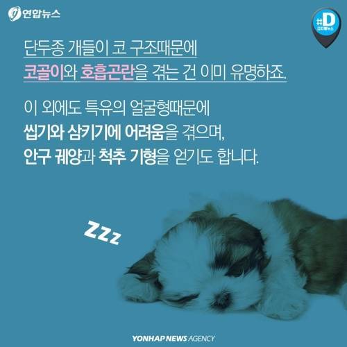 아픈 동물들..jpg