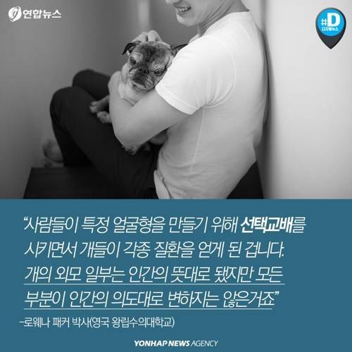 아픈 동물들..jpg