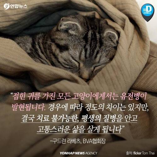 아픈 동물들..jpg