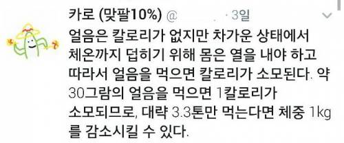 신개념 저칼로리 얼음 다이어트