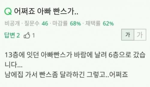 아빠 빤스가 바람에..