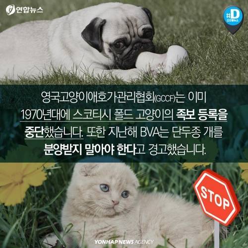 아픈 동물들..jpg