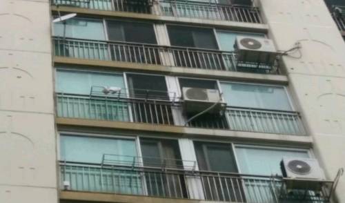 아빠 빤스가 바람에..