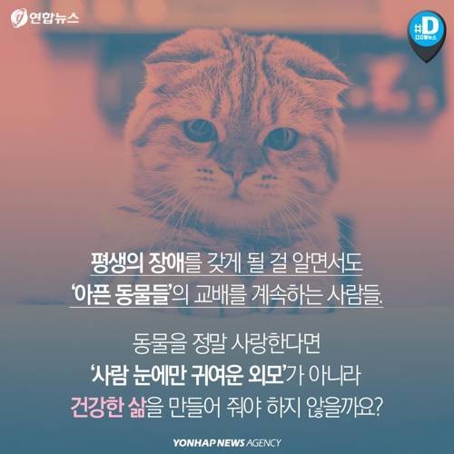 아픈 동물들..jpg