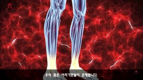 우리가 몰랐던 기초대사량의 진실.jpg
