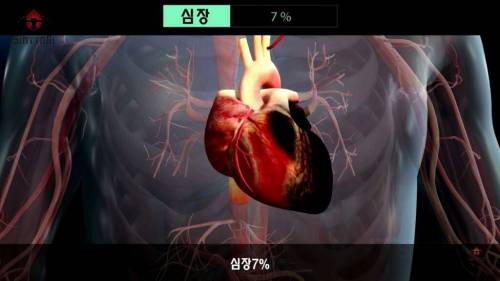 우리가 몰랐던 기초대사량의 진실.jpg