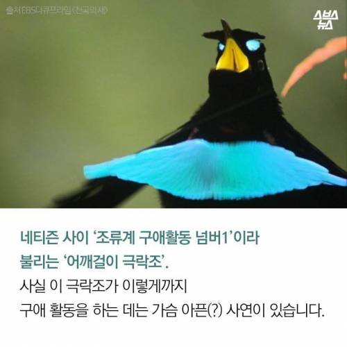 저 그림판 아닌데요?