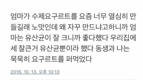 엄마가 요구르트를 만드는 이유