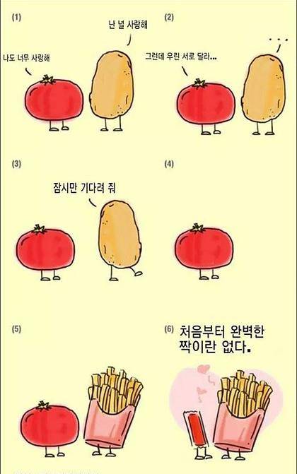 처음부터 완벽한 짝이란 없다.