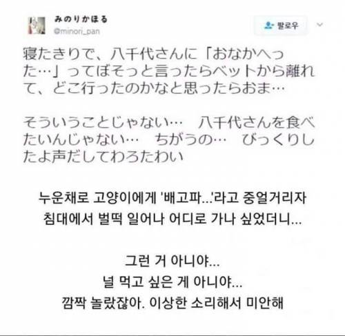 뭐? 집사가 배고프다고?.jpg