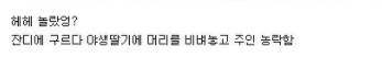 댕댕이의 주인농락.jpg