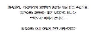 믿고 고용하는 고양이 보드가드