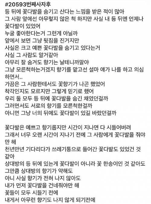 짝사랑을 꽃다발로 표현한 마음이 아련해지는 짧은 글