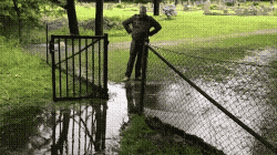 발 물에 안닿고 건너기.gif