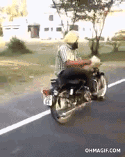 카레국의 자동주행.gif