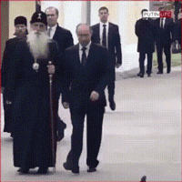둘기야 안녕.gif