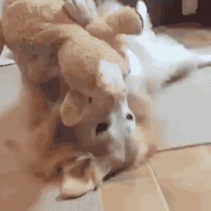 인형 받고 좋아하개.gif