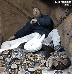 쿨한 애완동물 주인.gif