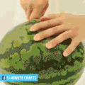 수박씨 발라내는 법 .gif