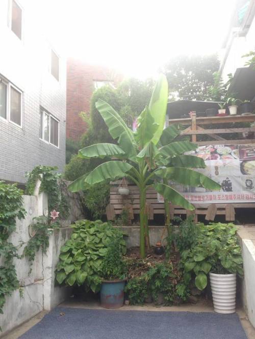 삼계탕집 홍보방법.jpg