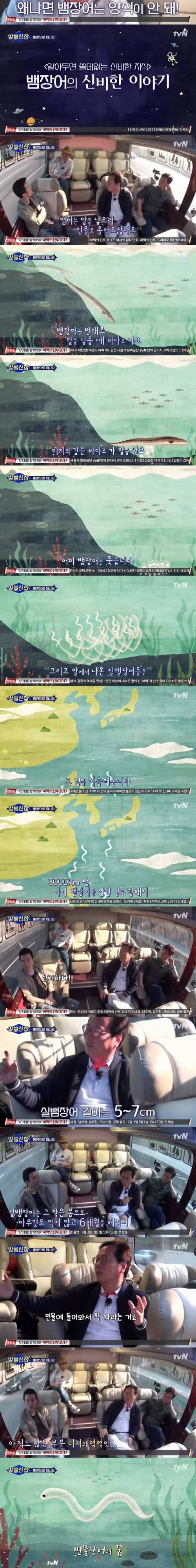 [스압]장어를 양식 할 수 없는 이유.jpg