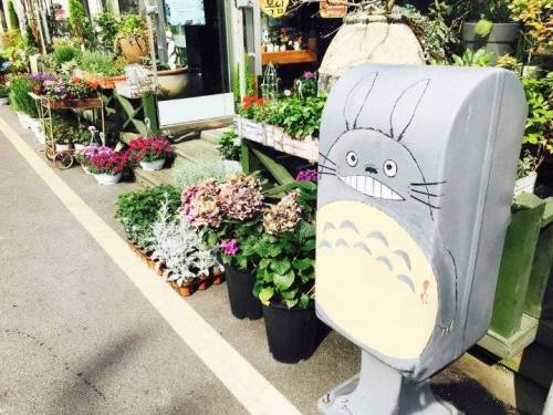 군산 어느동네 우체통들.jpg