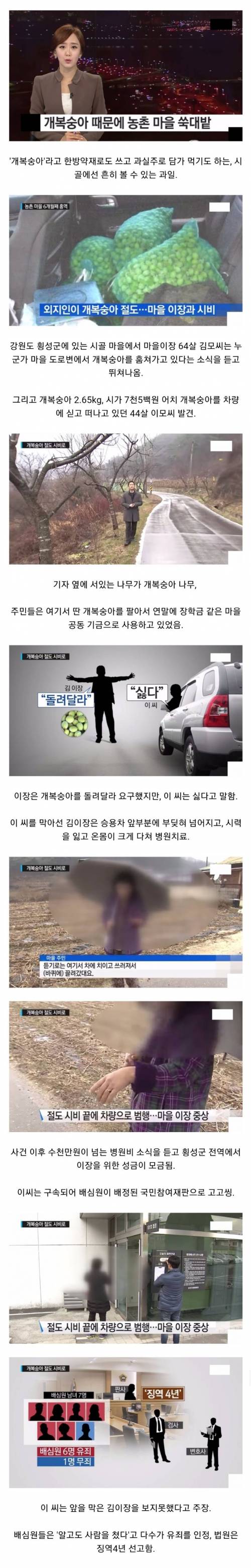 마을을 쑥대밭으로 만든 도둑