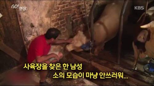 소찡...jpg